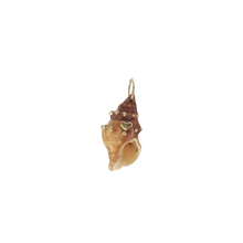 Load image into Gallery viewer, Brown Spiral Shell Pendant in shell by Christina Puchi