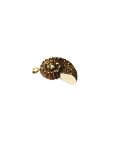 Load image into Gallery viewer, Carved Walnut Ammonite 2 in carved wood by Christina Puchi