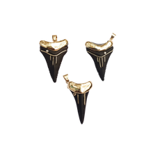 Load image into Gallery viewer, Ebony Shark's Tooth 2