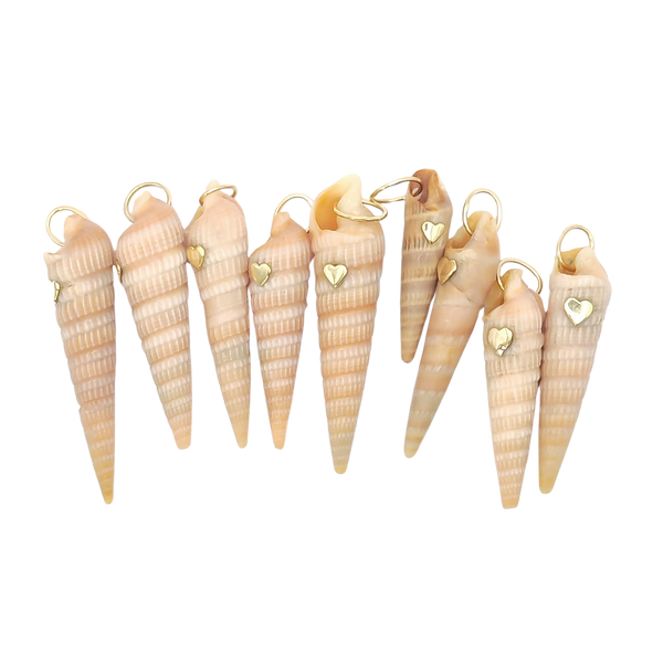 Auger Shell Pendant