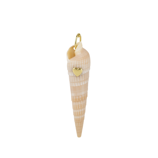 Auger Shell Pendant