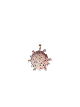 Load image into Gallery viewer, Scallop Shell Halo Pendant in shell by Christina Puchi
