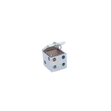 Load image into Gallery viewer, Silver Dice
