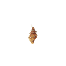 Load image into Gallery viewer, Brown Spiral Shell Pendant in shell by Christina Puchi
