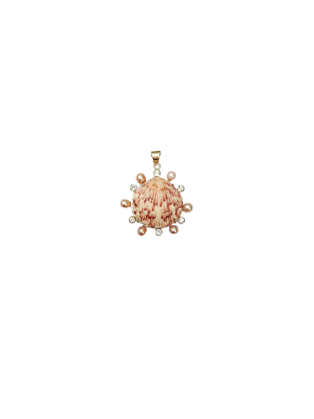 Calico Scallop Shell Pendant in shell by Christina Puchi