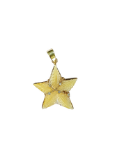Load image into Gallery viewer, Starfish Pendant in shell by Christina Puchi
