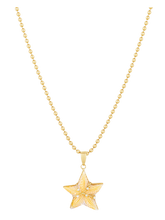 Load image into Gallery viewer, Starfish Pendant in shell by Christina Puchi
