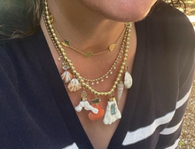 Load image into Gallery viewer, Multiple Shell Charm Necklace by Christina Puchi
