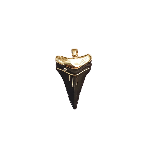 Ebony Shark's Tooth 2