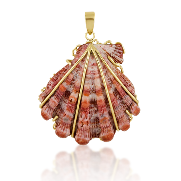Pink Lion’s Paw Pendant in shell by Christina Puchi