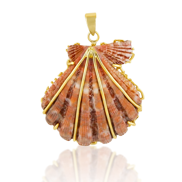 Orange Lion’s Paw Pendant in shell by Christina Puchi