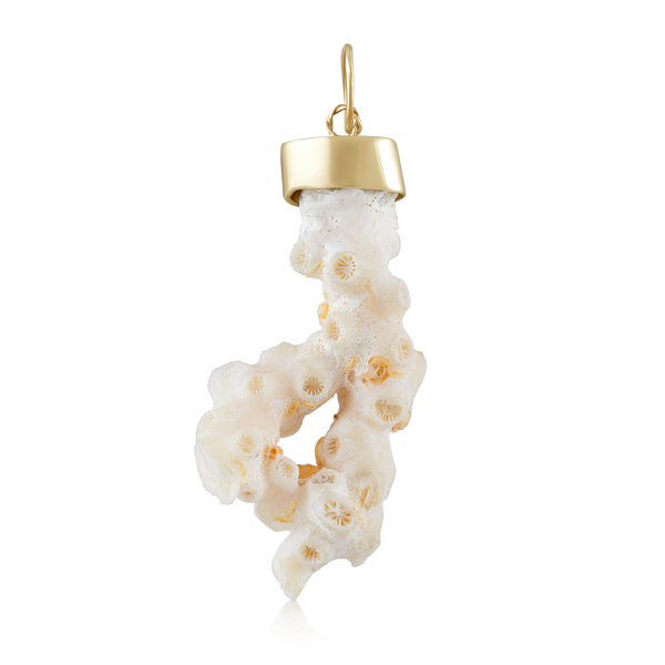 Coral Pendant by Christina Puchi