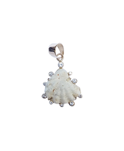 Load image into Gallery viewer, White Kitten's Paw Halo Pendant in shell by Christina Puchi

