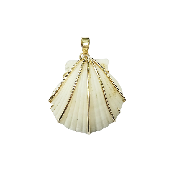 White Shell 2 Pendant in shell by Christina Puchi
