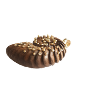 Load image into Gallery viewer, Carved Walnut Ammonite Pendant by Christina Puchi

