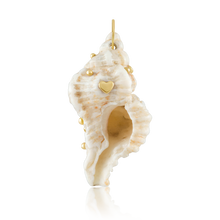 Load image into Gallery viewer, White Spiral Shell
