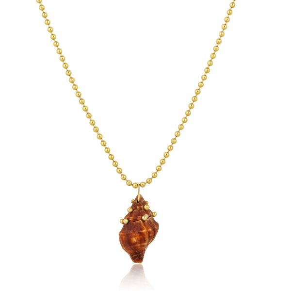 Brown Spiral Shell