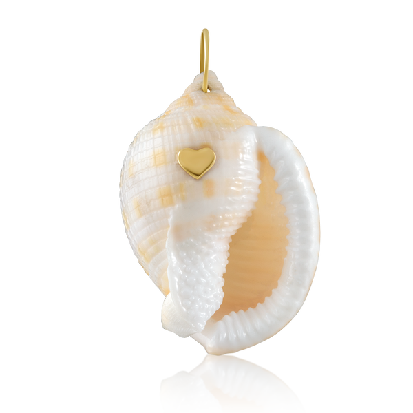 Amethyst Shell Pendant in shell by Christina Puchi