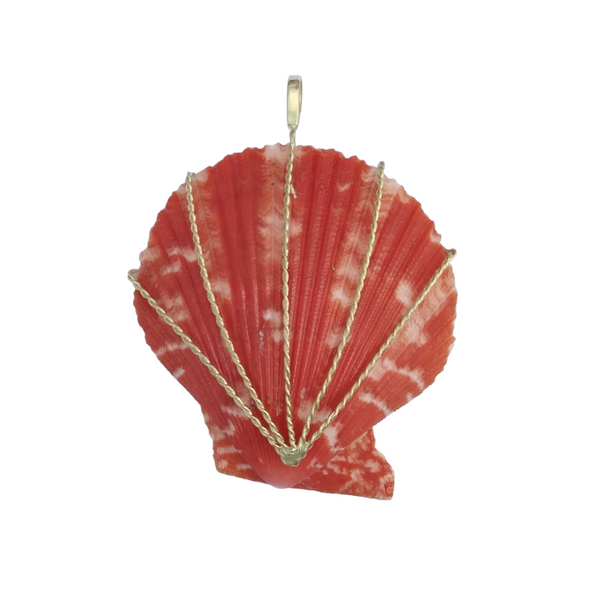 Scallop Shell - Orange by Christina Puchi