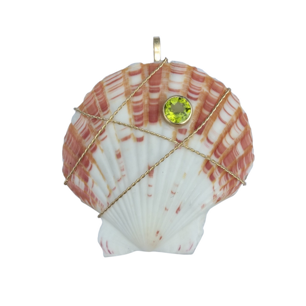 Scallop Shell - White & Orange by Christina Puchi