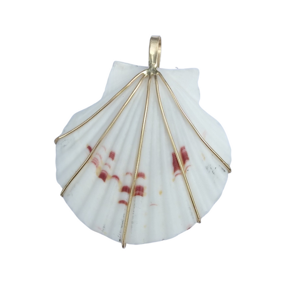 Scallop Shell - White & Orange by Christina Puchi
