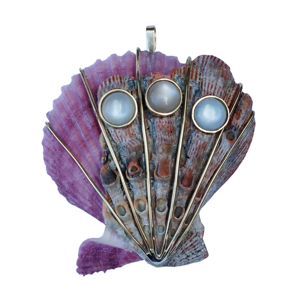 Scallop Layered Shell in shell by Christina Puchi