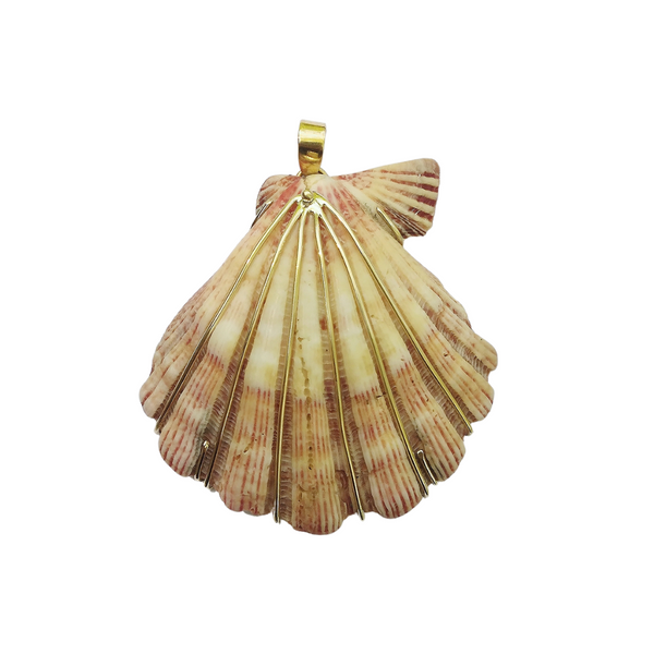 Sunset Lions Paw Pendant in shell by Christina Puchi