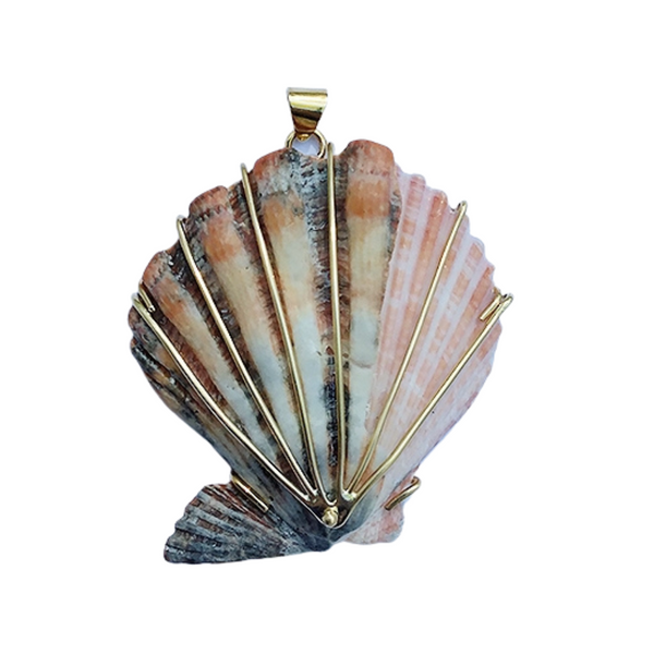Double Shell Pendant in shell by Christina Puchi