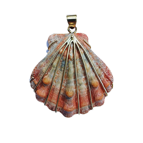 Lions Paw - Orange/Pink Pendant in shell by Christina Puchi