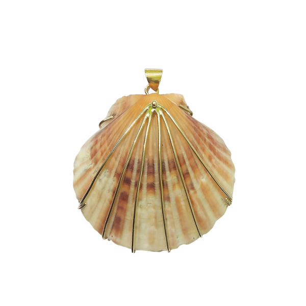 Scallop Shell Pendant in shell by Christina Puchi