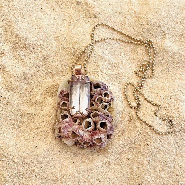 Pink Barnacle Pendant in shell by Christina Puchi