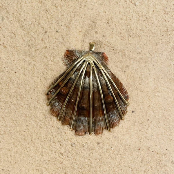 Lions Paw Pendant in shell by Christina Puchi
