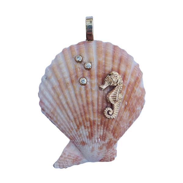 Scallop Shell - Seahorse by Christina Puchi