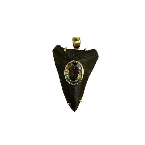 Sharks Tooth Pendant by Christina Puchi