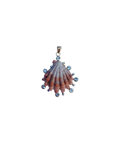 Aquamarine Halo Lions Paw Pendant in shell by Christina Puchi