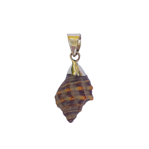 Brown Spiral Shell Pendant in shell by Christina Puchi