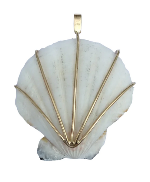 a- Scallop Shell- White by Christina Puchi