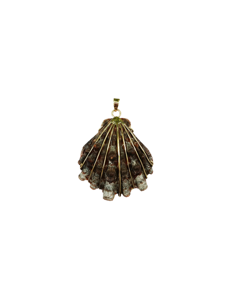 Brown Lions Paw Pendant in shell by Christina Puchi