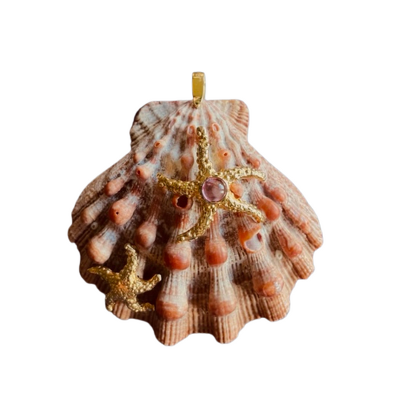 Lions Paw - Starfish in shell by Christina Puchi